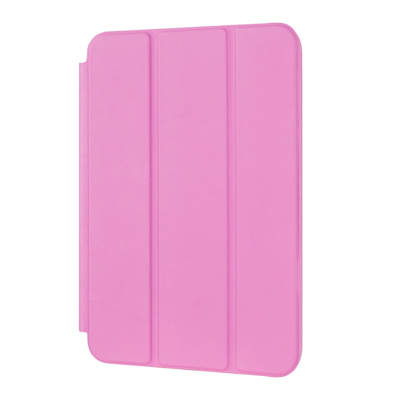 Smart Case iPad Mini 6 8.3