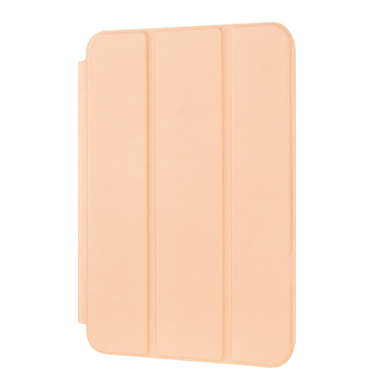 Smart Case iPad Mini 6 8.3