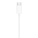 M8JEP20T - HF Budi Earphone EP20T, Type-C connector