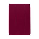Smart Case Pen iPad 10 10.9 (2022)/11 А16 (2025)
