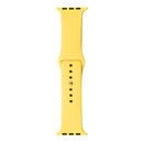 Ремешок Sport Band Apple Watch 42/44/45/49 (S)