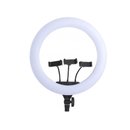 Кольцевая лампа LED Soft Ring Light RL-21 (с дефектом, потертость)