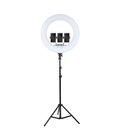 Кольцевая лампа LED Soft Ring Light RL-21 (с дефектом, потертость)