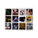 3D Sticker Pack