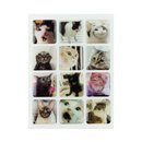 3D Sticker Pack