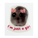 3D Sticker