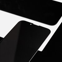 TITAN Agent Glass for iPhone XS Max /11 Pro Max / apple-iphone-iphone 12 pro max + №10318