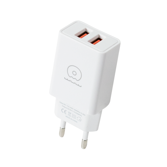 WUW Charger Set Dual USB/3.1A Micro T55