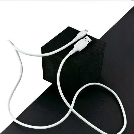 DC256TL10W - Budi Type-C to lightning cable Liquid Silica Gel PD 35W 1m