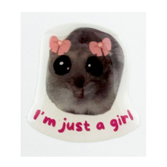 3D Sticker