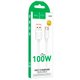 Кабель Hoco X115 Surpass 100W Type-C