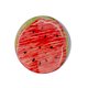 Popsockets Print