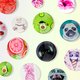 Popsockets Print