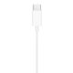 M8JEP20T - HF Budi Earphone EP20T, Type-C connector