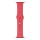 Ремешок Sport Band Apple Watch 42/44/45/Ultra (S)