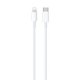 USB-C to Lightning Cable (1m) with packing