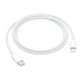 USB-C to Lightning Cable (1m) with packing