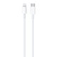 USB-C to Lightning Cable (1m) C