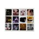 3D Sticker Pack